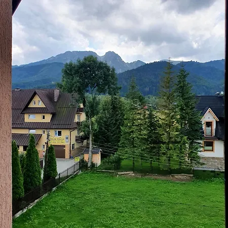 Szafran Zakopane